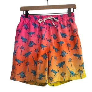Chubbies Swim Trunks Pink Orange Yellow Gradient Blue Dinosaurs Mesh Lining Sz M